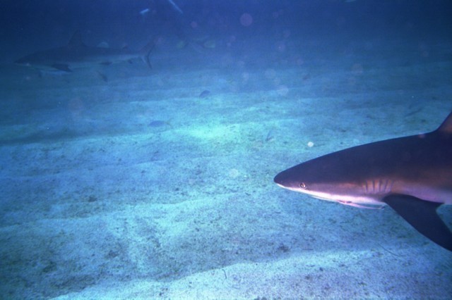 5940_24.jpg
