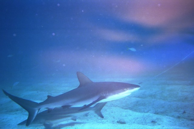 5940_25.jpg