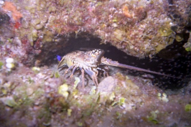 5941_00.jpg