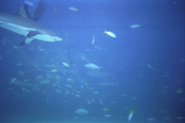 5941_03.jpg