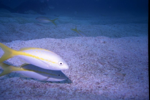 5941_24.jpg