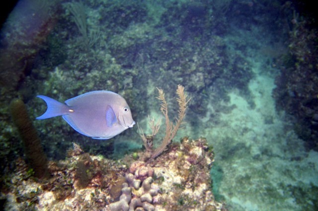 5942_06a.jpg