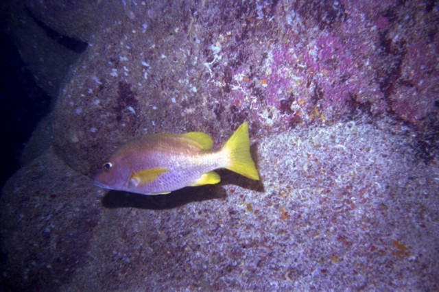 5942_07a.jpg