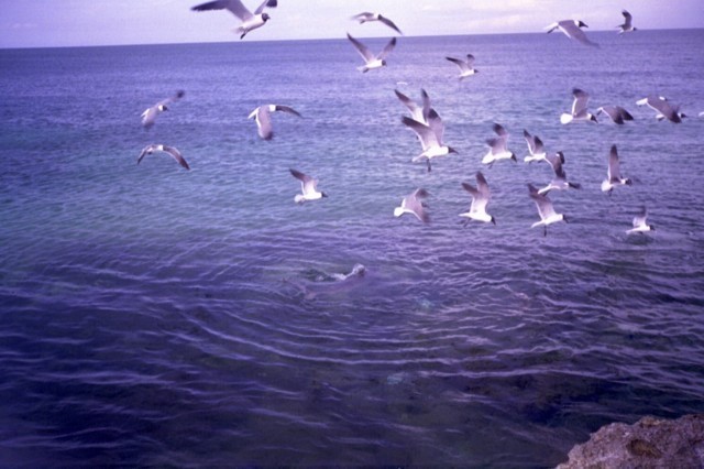 5942_18a.jpg