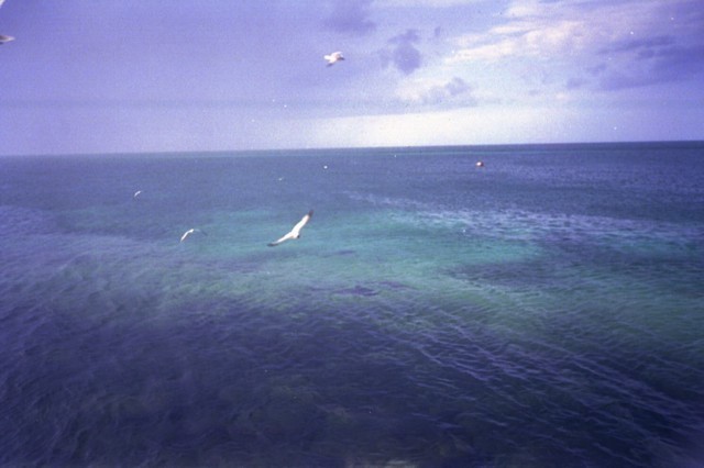 5942_21a.jpg