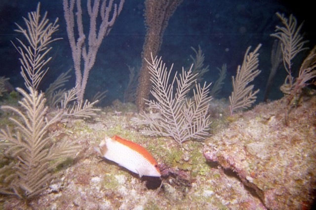 5943_08a.jpg