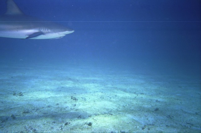 5943_14a.jpg