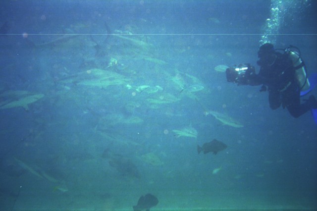 5943_15a.jpg