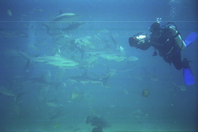 5943_16a.jpg
