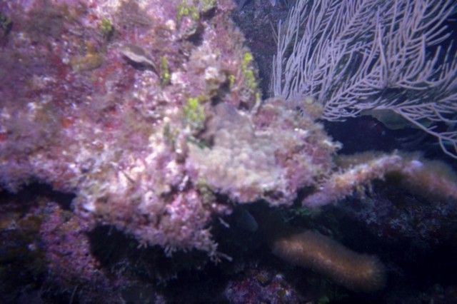 5944_07a.jpg