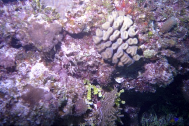 5944_15a.jpg