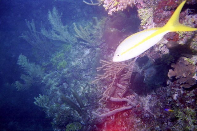 5944_16a.jpg