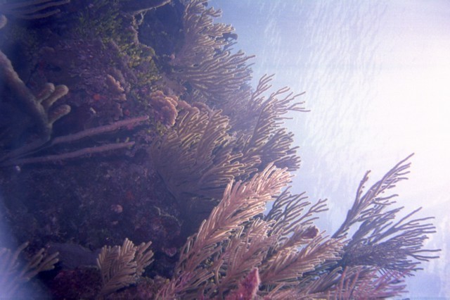 5944_17a.jpg