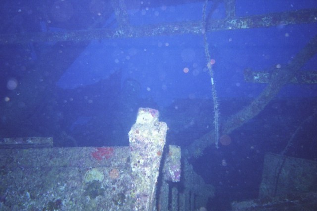 5945_01a.jpg