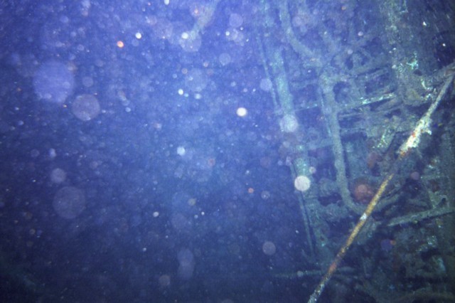 5945_06a.jpg