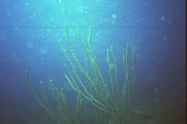 5945_07a.jpg