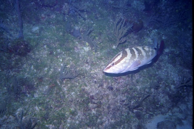 5945_09a.jpg