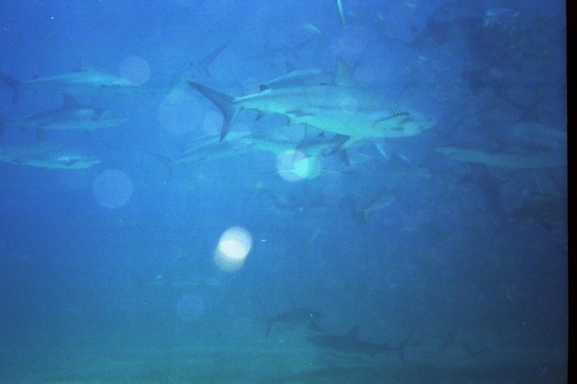 5945_23a.jpg