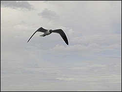 5900_03.jpg