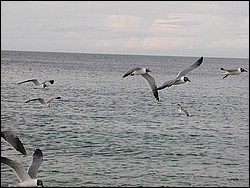 5900_04.jpg