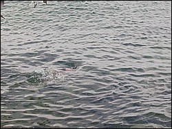 5900_05.jpg