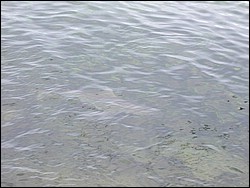 5900_08.jpg