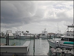5900_15.jpg