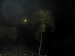 5900_20.jpg