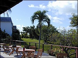 5900_33.jpg