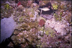 5938_03a.jpg