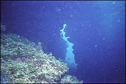 5938_08a.jpg