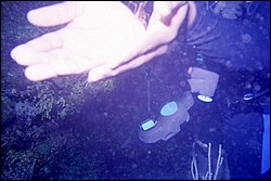 5938_11a.jpg