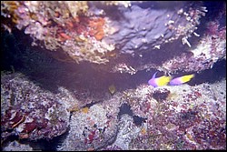 5938_12a.jpg