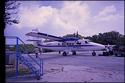 5939_03a.jpg