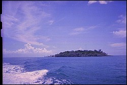 5939_10a.jpg