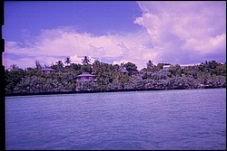 5939_11a.jpg