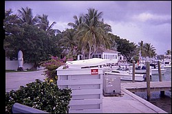 5939_15a.jpg