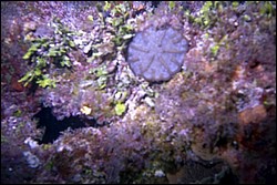 5940_0.jpg