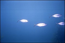 5940_01.jpg