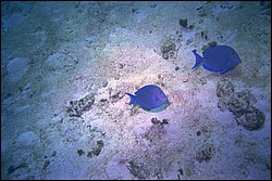 5940_03.jpg