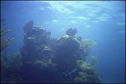 5940_04.jpg