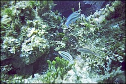 5940_05.jpg