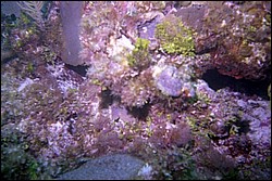 5940_08.jpg