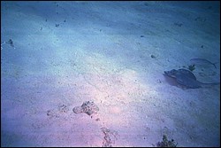 5940_12.jpg