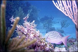 5940_13.jpg