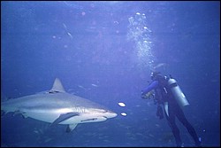 5940_15.jpg