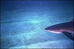 5940_24.jpg