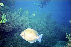 5941_0.jpg