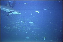 5941_03.jpg