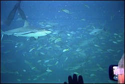 5941_04.jpg
